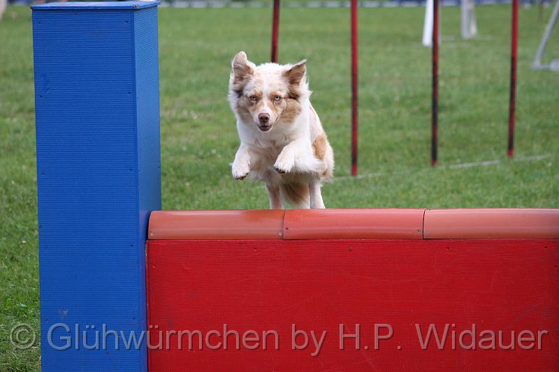 gluehwuermchen08 094 (102).jpg